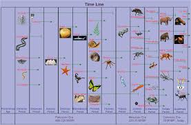 World Science Timeline Chart Olbuzzards World View