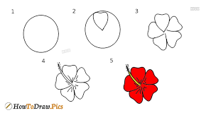hibiscus really easy drawing tutorial