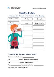 grade 2 dhivehi worksheets our