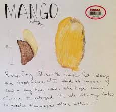 my love affair with mangos eva varga