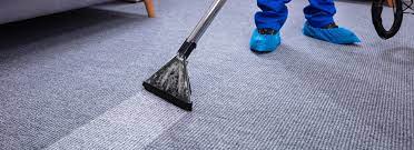 st augustine carpet cleaning just