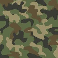 Camo Background Vector Art Icons And
