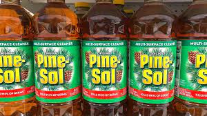 does pine sol kill bed bugs diy