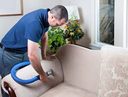 best professional carpet cleaning