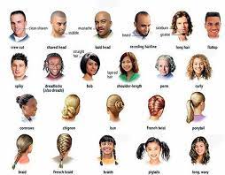 hairstyles in english describe types