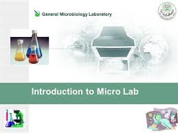 Introduction To Medical Microbiology Laboratory Ppt Video Online