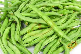 green bean varieties types of green beans