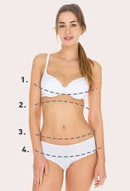 Size Guide Womens Underwear
