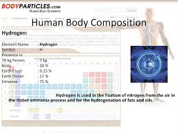 human body elements and its composition