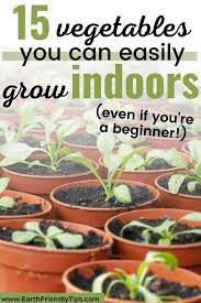 best vegetables to grow indoors earth