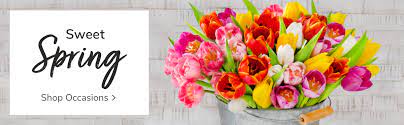 863 homes for sale in odessa, tx. Texas Flower Delivery By Market Street Flowers