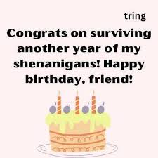 funny short and quirky birthday wishes