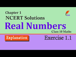 Class 10 Maths Chapter 1 Real Numbers