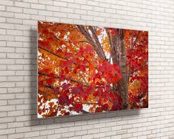 Red Maple Tree Leaves Metal Print Fall