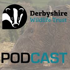 Derbyshire Wildlife Trust Podcast