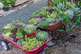 Delectable Succulent Containers At