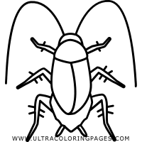 Here, we present one of the most feared creatures on the planet, but in a good way of course. Roach Coloring Pages Ultra Coloring Pages