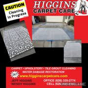 higgins carpet care 29 photos 28