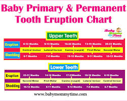 Baby Primary Permanent Tooth Eruption Chart Archives