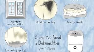 If mold has developed around a window in your living room, bedroom, or basement, find out how water is getting into the frame. Signs You Need A Dehumidifier