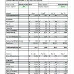 Pro Forma Operating Budget Template Pro Forma Budget Template Good