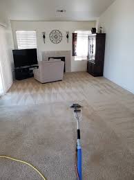 auckland carpet cleaning carpet cleanings