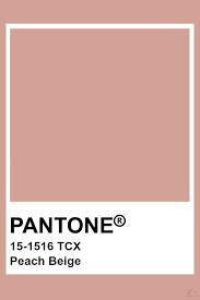 Pantone Peach Beige In 2019 Pantone Colour Palettes