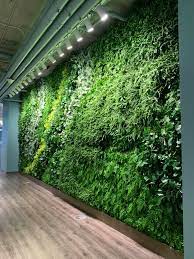 Living Walls Aren T Built In A Day