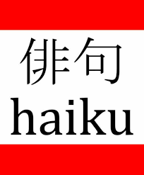 Image result for Haiku
