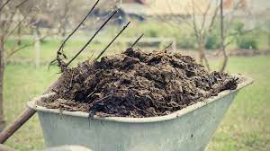 Composted Animal Manure The Best