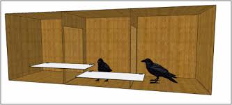 Does not include tights, wasn't clear. An Unkindness Of Ravens Measuring Prosocial Preferences In Corvus Corax Sciencedirect