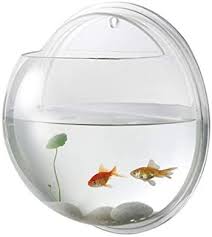 Amazon.com : POPETPOP Fish Bowl - Wall Mounted Acrylic Transparent Mini  Aquariums Betta Cups -Hanging Round Glass Bowl Vase Fish Tank Home Decor :  Pet Supplies gambar png