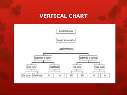 25 Uncommon Vertical Organisation Chart