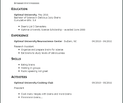No Experience Resume Example Simple Resume Format