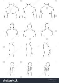 Size Chart Body Types Male Body Stock Vector Royalty Free