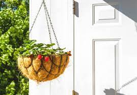 Plant Hanging Baskets And Containers
