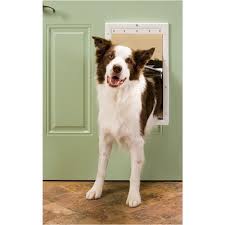 Petsafe Large Plastic Dog Door Ppa00