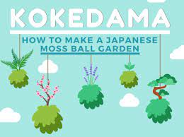 Japanese Moss Ball Garden Infographic