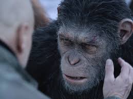 Caesar and his apes are forced into a deadly conflict with an army of humans led by a ruthless colonel. War For The Planet Of The Apes Review A Highly Evolved Cgi Enhanced Epic Sight Sound Bfi