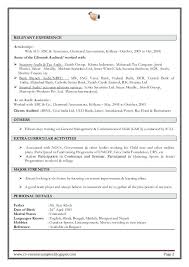 Sample Resume Skills Section Customer Service For It Professional