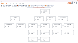 management org chart from data import