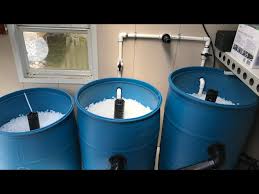 diy 3 barrel filter system for koi pond