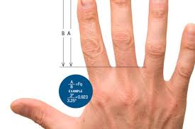 Finger Length Predicts Health And Behavior Discover Magazine