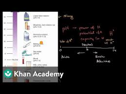 Some of the worksheets for this concept are lesson 8 acids bases and the ph scale time ii, acids bases and salts acids, strong acids and bases work, revision work class vii science acids bases and salts, acids bases practice work, acidsbases ph work, a guide to acids and bases, acids. Introduction To Ph Video Khan Academy