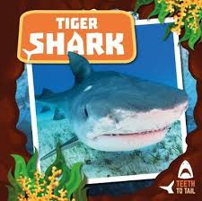 They are designed in several different kinds of interlocking patterns which set up the style of the tiger shark teeth. Tiger Shark By Robin Twiddy Waterstones