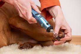 the 6 best dog nail grinders for quick