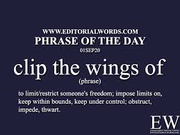 phrase of the day clip the wings of