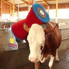happy cow rotating cow brush farm and