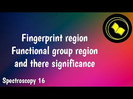 fingerprint region and its significance