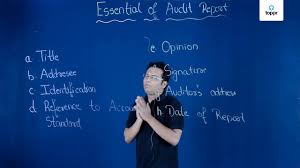 audit opinion types of audit opinion